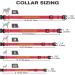Tagme Personalized Dog Collar for Small Dogs - Embroidered Reflective Nylon with Pet Name & Phone Number - Red (1 Pack) - Buy Online on GoSupps.com