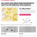 DEleventh Korean Brand Vitamin C Ampoule Serum 2ml 7EAe / with Niacinamide (Vitamin B3) & Pro-Xilane Anti-Aging Brighten Hydrate and Smooth Skin Creates a Radiant Youthful Complexion - Buy Online on GoSupps.com