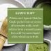 Mighty Leaf Tea Organic Matcha Green Tea Powder - 12 Single Serve Packets, 100% Unsweetened Japanese Matcha - 12 Count Pack - Organic Matcha - Buy Online on GoSupps.com
