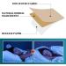 42 Strong Sleeping Plasters for Adults - Effective Sleep Aid for Insomnia - Perfect Gift for Men & Women - Buy Online on GoSupps.com