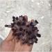 Natural Crystal Rough Stone Crafts 1pc Natural Purple Crystal Cluster Stone geomantic furnishings degaussing Transfer Home furnishings Amethyst (Size : 330-350g) - Buy Online on GoSupps.com