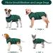 Kuoser Breathable Dog Surgery Recovery Bodysuit | Leak Protection & Wound Licking Prevention for Male & Female Dogs - Green Striped (1 Pack) - Buy Online on GoSupps.com