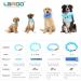 Laroo LED Dog Collar - USB Rechargeable Night Safety Luminous Collar for Small Medium Large & Long-Haired Dogs - 3 Modes 65cm x 2.5cm Blue - Buy Online on GoSupps.com