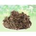 Nak Chikni-Dregea Volubilis-Raw Herbs-Nak Chikni-Sneeze Wort-Centipeda Minima-Jadi Booti-Single Herbs (100 Gram) - Buy Online on GoSupps.com