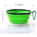 Axgo Foldable Silicone Dog Bowl - Portable Travel Feeder for Dogs - Green - Buy Online on GoSupps.com
