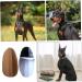 Buguuyo Sticker - 1 Pair N-ear Stands Earrings for Pets | Trendy Pet Accessories Worldwide - Buy Online on GoSupps.com
