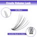 300PCS Cluster Lashes Extension | C Curl 10D 0.07mm | 8-16mm Mixed Lash Clusters | DIY Eyelashes Extensions at Home - Buy Online on GoSupps.com