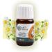 MCT Natural Chamomile Oil 20ml | 100% Natural Aromatherapy & Massage Oil | Anti-Inflammatory & Antibacterial Care Oil - Fast International Shipping - Buy Online on GoSupps.com