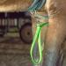 Dowoa LED Horse Harness - Robust & Comfortable Chest Strap for Safety | Best Visibility for Riding - Green - Buy Online on GoSupps.com