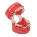 Orthodontic demonstration model professional dental orthodontic demonstration model with metal wires and bracket for lessons and learning