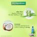 Buy Parachute Hair Oil with Aloe Vera - 250ml | Nourish & Repair Hair | Fast International Shipping - Buy Online on GoSupps.com