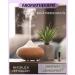 Organic Rosemary Oil Essential Oil (Cineol) - 10ml - Pure Spanish Rosemary for Biologically Cultivated Wellness - Buy Online on GoSupps.com