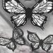 Butterfly Eyeliner Stencil Butterfly Eyeliner Stamp Butterfly Eyeliner Stencils for Eyes Wing Butterfly Stencil for Eyeliner Winged Eyeliner Tool Reusable and Flexible Eyeliner Stencil (Color : 3PCS - Buy Online on GoSupps.com