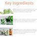 Dentizen Gum Regrowth Drops | Natural Gum Restore Liquid Mouthwash (2pcs) | International Shipping Available - Buy Online on GoSupps.com