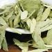 Dired Senna Leaf/Leaves Constipation Senna Leaves Fan Xie Ye (250 Grams /0.55 lbs) - Buy Online on GoSupps.com