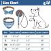 EXPAWLORER Dog Collar and Lead Set - Dog Bow Tie Collar and Dog Bandana Collar with Cute Bell No Tangle Dog Lead Adjustable Collars for Puppy Small Dogs Cats (Small) Small Blue - Buy Online on GoSupps.com