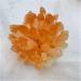 Natural Orange Ghost Phantom Quartz Crystal Cluster Rock Stones and Crystals Reiki Specimen Home Deco yuebang ERBDRGAZ (Size : 400-500g) - Buy Online on GoSupps.com