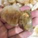 3pcs Natural Quartz Golden Healer Palm CrystalsStones for Home Decoration NaturalReiki Decoration Room Decoration Stone Mineral Specimen - Buy Online on GoSupps.com