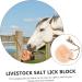 Ipetboom Animal Lick Salt Block Small Pets Lick Salt Horse Salt Lick Salt Lick Deer Salt Chew Treat Supplies - Buy Online on GoSupps.com