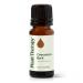 Plant Therapy Organic Clove Bud Essential Oil 10 mL (1/3 oz) & Cinnamon Bark Essential Oil 10 mL (1/3 oz) 100% Pure Undiluted Cinnamon Oil for Diffuser Spray Candle Making Spicy Sweet Scent - Buy Online on GoSupps.com