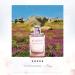 Yves Rocher Comme Une Evidence Intense Eau De Parfume for Women - 50 ml. / 1.7oz Evidence Intense 1.7 Fl Oz (Pack of 1) - Buy Online on GoSupps.com