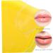 TOVINANNA 2 Boxes Portable Lip Films Exfoliating Lip Masks Anti-drying Lip Masks Lip Care Gel Pads Lip Care Product Lip Moisturizing Masks Portable Lip Masks Cosmetic Products Women Cosmetic - Buy Online on GoSupps.com