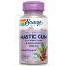 Solaray Mastic Gum Extract 1000 mg 45 VegCaps