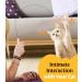 Pawaboo Interactive Cat Toys - 35 Catangel Stable with 2 Springs & Flexible Steel Wire Handle - Magic Wand for Kittens & Cats - Orange - Buy Online on GoSupps.com