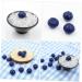 Alipis 150 Pcs Simulation Blueberry Realistic Berry Fake Blueberries Decor Blueberries Photo Prop Fake Blueberry Lifelike Fruits Model Miniature Blueberry Scrapbook Fake Fruit Resin - Buy Online on GoSupps.com