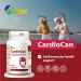 ALLBE CardioCan Softgels 1000mg Omega-3 Fish Oil & 30mg Alpha Lipoic Acid with Vitamin B6 B12 & Folate Supplement 12 Packs of 60 Heart Health Support & Antioxidant Servings(Per Serving:1 Capsule) 60 count (Pack of 12) - Buy Online on GoSupps.com