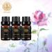 Aromatherapy Rose Essential Oil Set for Diffuser 100% Pure Lemon Essential Oil Kit for Humidifier 3x10ml Therapeutic Grade Eucalyptus Essential Oil Scent Set - Rose Lemon Eucalyptus Oil Kit for Home - Buy Online on GoSupps.com