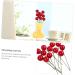 Artibetter 288 Pcs Diy Foam Red Fruit Simulation Berry Fake Berry Picks Burgundy Berry Picks Christmas Craft Wreath Pick Red Fake Berry Christmas Plants Picks Decor Artificial Crafts Redx2pcs 1.5x1.5x1.5cmx2pcs - Buy Online on GoSupps.com
