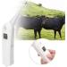 Cat Thermometer Dog Thermometer LCD Display Screen Easy to Read for Sheep for Livestock for Pigs for Cattle - Buy Online on GoSupps.com