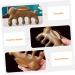 Orfofe Green Sandalwood Massage Comb - Wide Tooth Wooden Scalp Brush for Hair Care | Portable & Comfortable - Buy Online on GoSupps.com