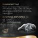 Sheba Katznassfutter 22x85g - Seasonal Variety Wet Cat Food | Premium Quality  - Buy Online on GoSupps.com
