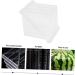 HOMSFOU Watermelon Shaping Vegetables Vegetable Growth Molds Strawberry Cup Fruit Forming Mold Tool Cucumber Ginseng Fruit 15x15cm Transparent - Buy Online on GoSupps.com
