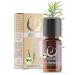 Organic rosemary oil essential oil (rosemary officinalis Ct. Cineol) controls biological cultivation of real rosemary bio from Spain (rosemary ct. Cineol 10ml) rosemary ct.Cineol 10 ml (1 Pack)