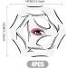 Eyeliner Stencil 4 Sheets 10 Models Each Eyeshadow Stencils 6 in1 Reusable Cat Eyeliner Stickers with Perfect Winged Tip for Beginner Professional Eye Makeup Tools Eyeliner Brushes - Buy Online on GoSupps.com