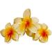 Lily Brown Soft Hairpin Comfortable Hair Clip Unique Flower Hair Barrettes Hair Clips Flower Hair Claw Clip Stylish Hair Claw Anniversary Pink - Buy Online on GoSupps.com