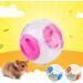 12CM Fashion Hamster Ball: Exercise Running Toy for Tiny Hamster - Buy Online on GoSupps.com
