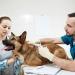 Backagin 2.12mm Microchips for Dogs and Cats - 20 Pack Implant Kit for Veterinary Management - Buy Online on GoSupps.com