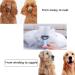 nuoshen Pet Grooming Dematting Comb Double Sided Teeth Blade Dog Undercoat Rake Comb Pet Rake Comb for Dogs and Cats Removes Loose Undercoat - Buy Online on GoSupps.com