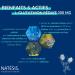 NATESIS ANTIOXYDANT & DETOX - L-Glutathion R DUIT 98% - Chardon-Marie Silymarine 80% - S l nium - D toxifie Foie Corps - Prot ge R g n re Beaut de la Peau - VEGAN - Fabriqu en France - Buy Online on GoSupps.com