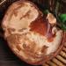 Dired Ganoderma Lucidum Lingzhi Ganoderma Lucidum Pieces Reishi Mushroom Slices Ganoderma Mushroom (250 Grams /0.55 lbs) 1 Count (Pack of 1) - Buy Online on GoSupps.com