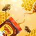 Pata'njali Honey 1kg - Buy Online on GoSupps.com