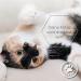 Lolo & Max Natural Flea & Tick Agent for Cats - 100% Natural Spot-On Treatment - Up to 8 Months Defense Against Fleas Ticks Mites & More - Buy Online on GoSupps.com