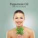 Premium 100% Pure Peppermint Essential Oil - 1 fl oz for Aromatherapy, Massage & Household Use - Buy Online on GoSupps.com