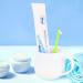WLLHYF Single Tuft Toothbrush 2 Pieces - Interspace Tuft Brush for Orthodontic Braces - Soft Bristles for Sensitive Gums - Deep Cleaning Manual Toothbrushes - Green Blue - Buy Online on GoSupps.com