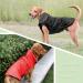 IREENUO Waterproof Dog Coat with Reflective Strips for Medium Large Dogs - Red XL - Buy Online on GoSupps.com
