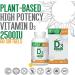 Benemax Vitamin D3 2500 IU For Healthy Bones Teeth and Helps Prevent Vitamin D Deficiency Plant Based & Vegan 60 Day Supply - Buy Online on GoSupps.com